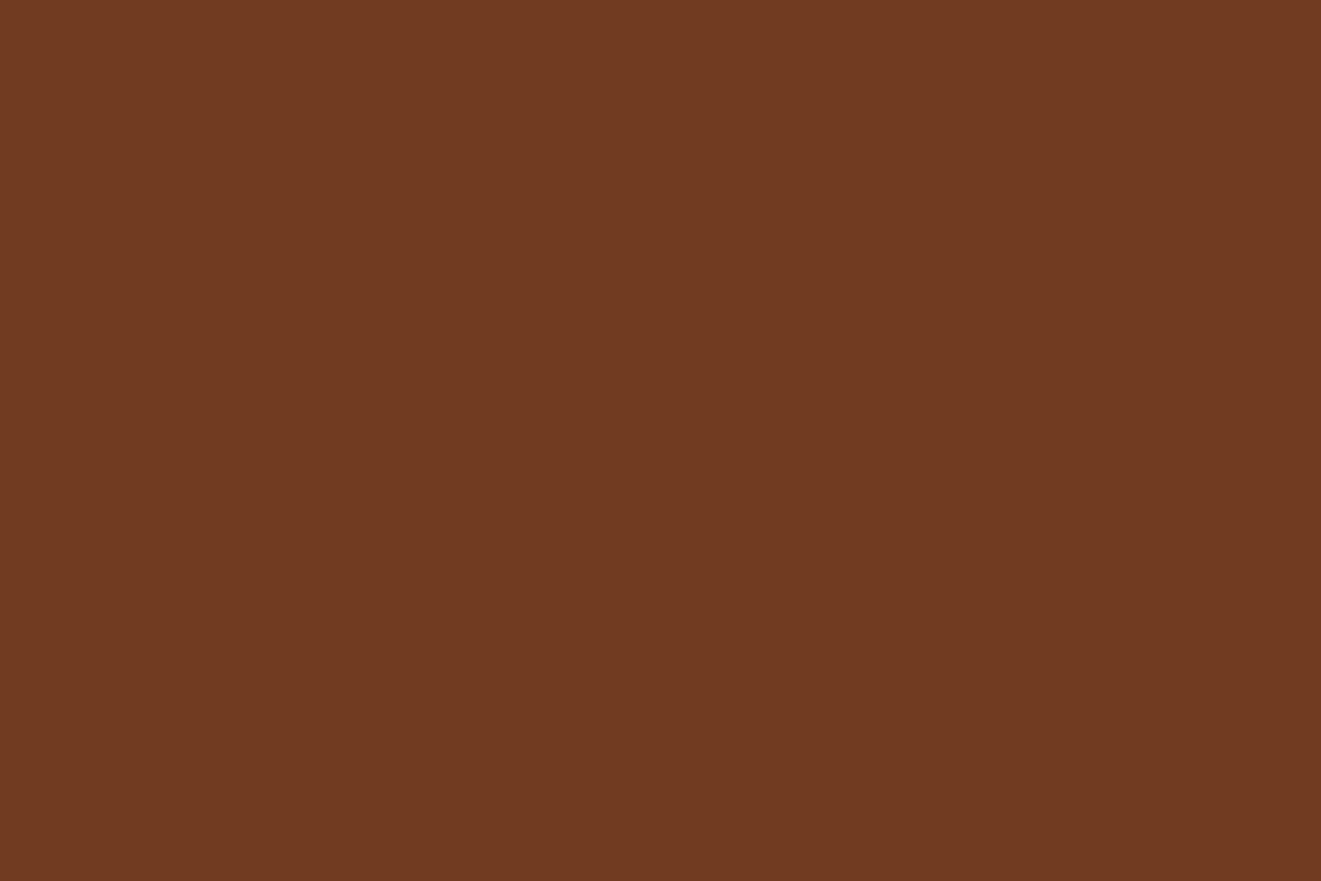 Beaver Brown gutter color sample